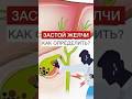 Застой желчи как определить?