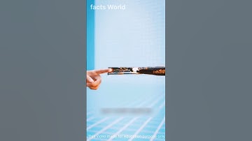 क्या होगा अगर कोई बंदूक की नली में अपनी उंगली डाल दे? 3D Animation #shorts