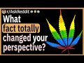 What fact totally changed your perspective