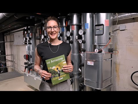 ERF Backstage | Juli 2025 - video from ERF Medien