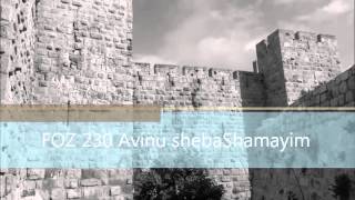 FOZ 230 Avinu shebaShamayim
