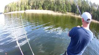 Lydekų žvejyba Arino ežere\Ловля щуки\Pike fishing Spring 2019