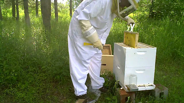 Proof that the queen is alive and very healthy! (part one) - Fri 12Jun09