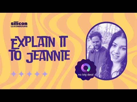 EXPLAIN IT TO JEANNIE: NO BIG DEAL - NIGEL BERGSTRA