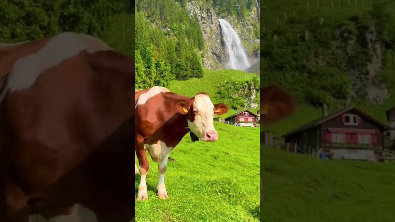 La beauté de la Suisse : un spectacle naturel incroyable 🇨🇭✨