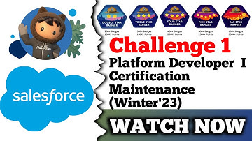 Platform Developer I Certification Maintenance (Winter 