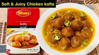 Shan Kofta Recipe | How to make Shan Chicken Kofta | Chicken Meatball Curry Recipe screenshot 5