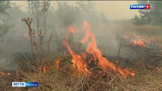 В Рязанской области продолжают гореть леса