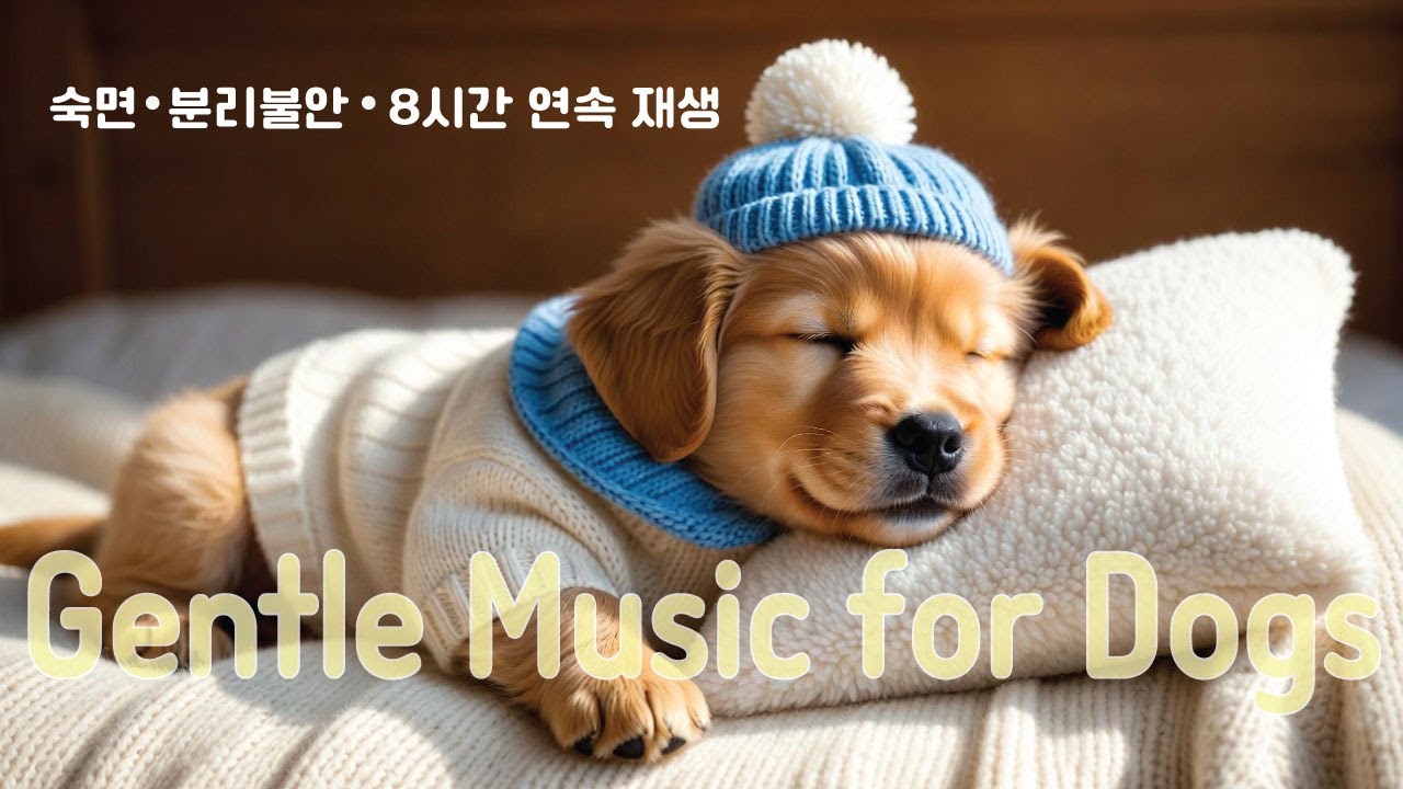 🐶분리불안 해소 |  잠 안 자는 강아지를 위한 딥슬립 힐링 음악 | 불안완화·진정 | 금동이 수면루틴 🐶💤