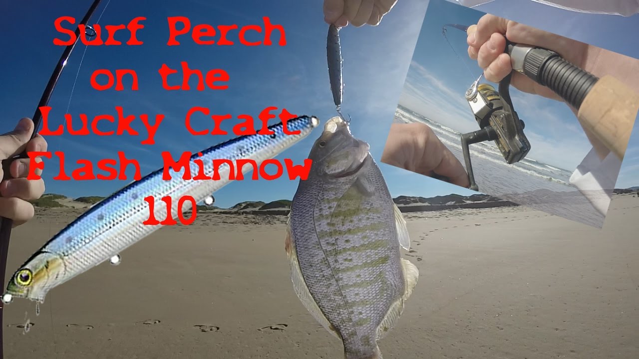 Epic California Surf Perch Fishing - Lucky Craft Flash Minnow 