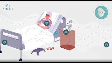 An Introduction to Neteera