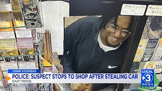 Crime Stoppers: BMW thief