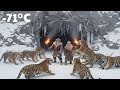 96-Year-Old Yakut Couple's Cave Survival | Fighting 1,000 Tigers at −71°C