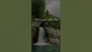 أفرأيت الذي كفر بآياتنا|سورة مريم|٧٧-٨٢|القارئ اسلام صبحي