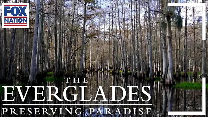 Go Inside Preserving The Everglades | Fox Nation