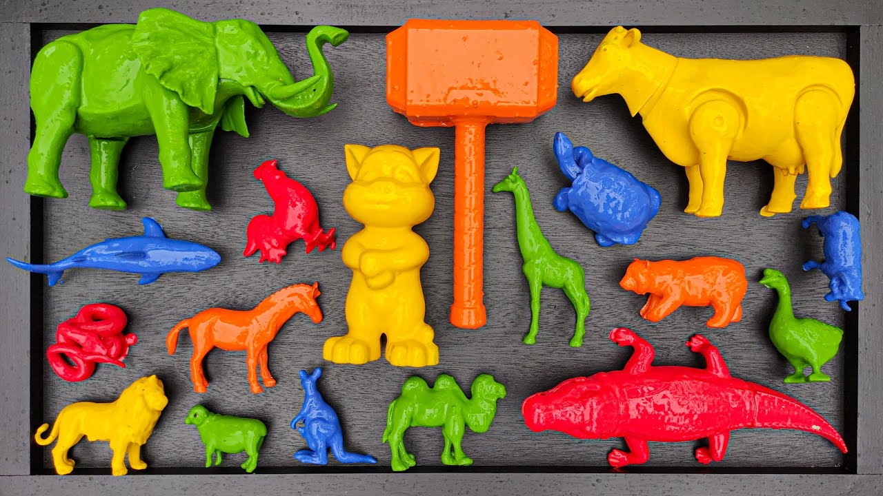 Membersihkan hewan sapi, bebek, angsa, ayam, gajah, simpanse, singa, unta, buaya, kangguru