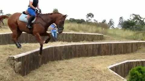 my videos_XC Riding down the Steps - Lucinda Green training clinic.mp4