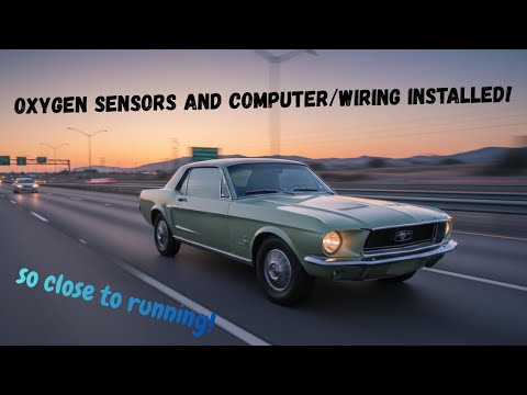 MUSTANG UPDATE COMPUTER AND WIRING IS IN