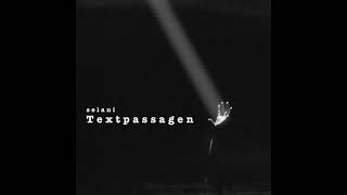 Selani - Textpassagen (Beat by Tony Hanska)