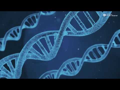 DNA Parallax Effect