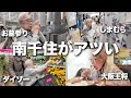 【乱費】王将ランチ🍜しまむら&ダイソー大型店舗に興奮🔥購入品紹介!