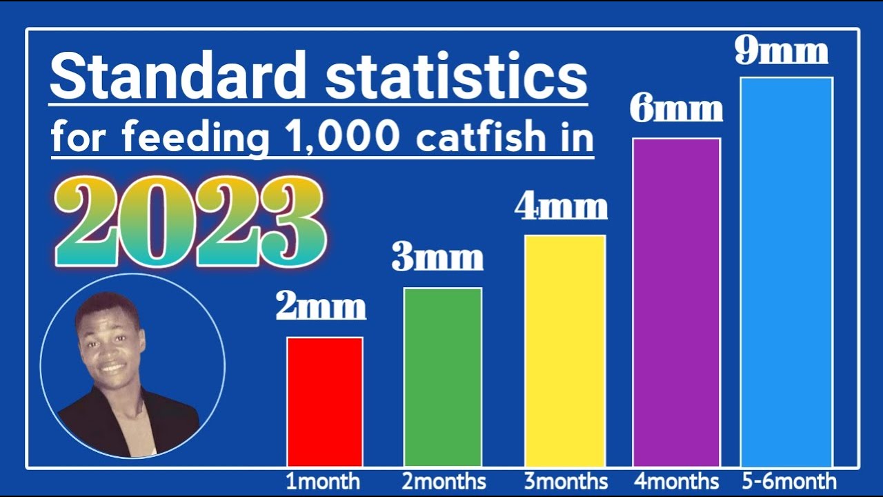 Best statistics on feeding 1000 pieces of catfish in 2023 How many bags per months? YouTube