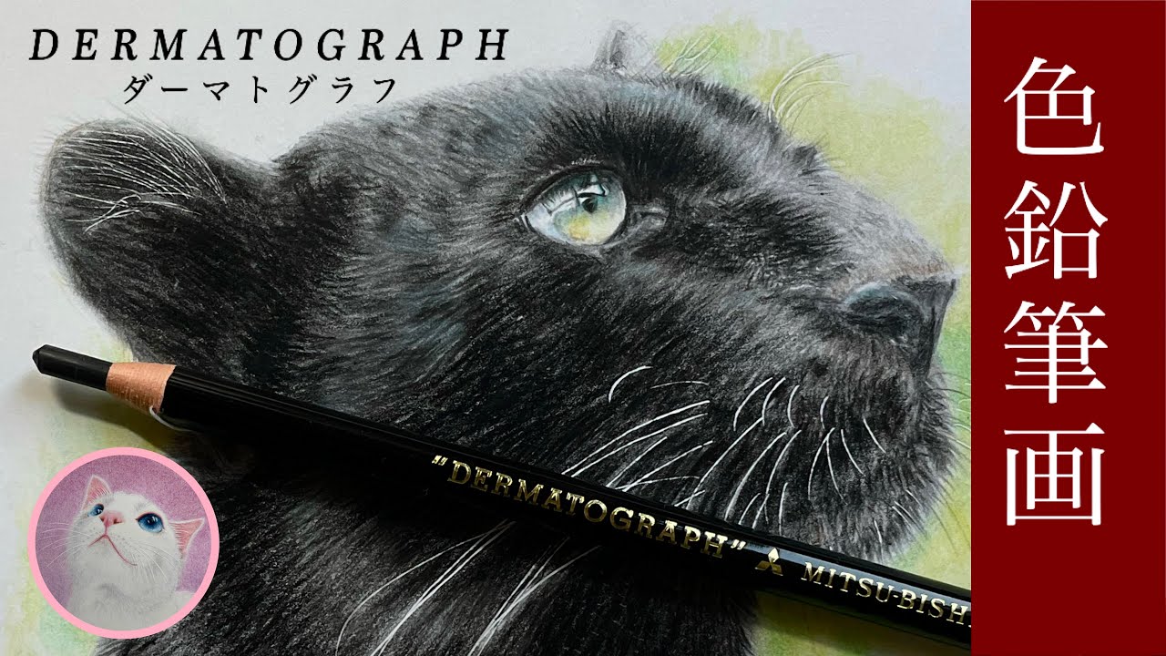 色鉛筆画】油性色鉛筆 ダーマトグラフで黒豹を描きました How to draw