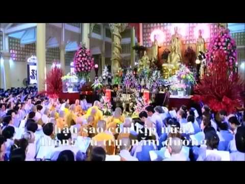 Video Tụng Kinh Vô Lượng Thọ - Thích Trí Thoát, Đại Tòng Lâm - youtube