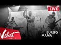 Live: Burito - Мама (Сольный концерт в RED, 2017г.)