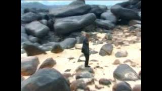 FRERE PATRICE NGOY MUSOKO - Très tôt - www.ministeremale.com
