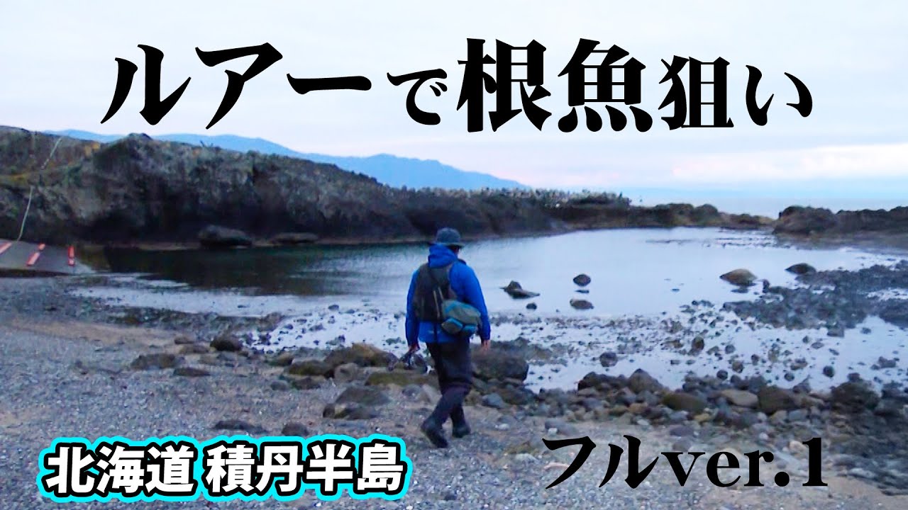 アイナメをメインターゲットにロックショアゲームを展開 1/2 『Rock'n Fish 84』＜フルver＞【釣りビジョン】