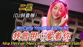 二黑 - 我曾用心爱着你 (DJ抖音版) Wo Ceng Yong Xin Ai Zhe Ni【Aku Pernah Mencintaimu Sepenuh Hati】- Terjemahan