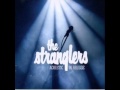 The Stranglers - Instead of This  - acoustic
