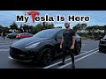 I'm A 2022 Black Tesla Model Y Owner | FINALLY