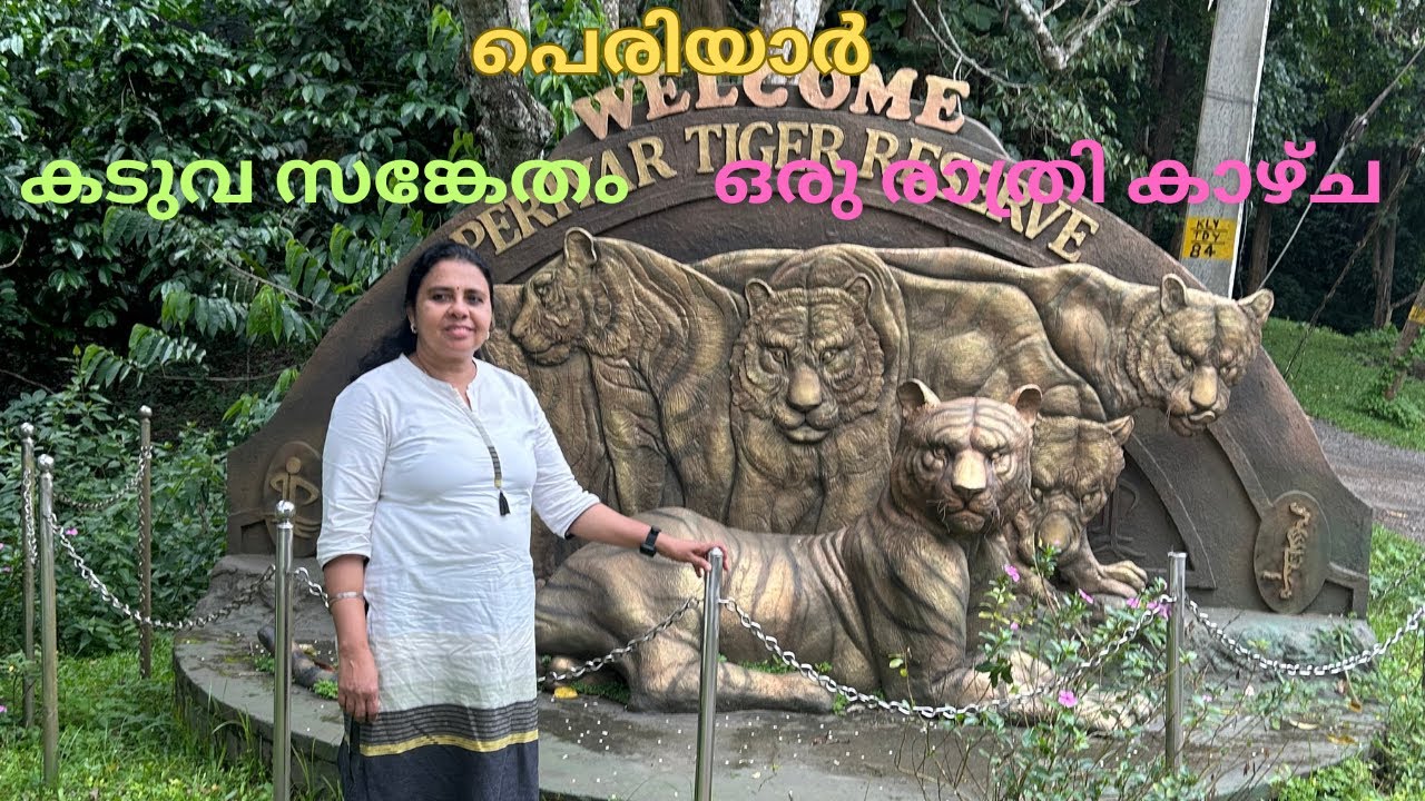 77-one-night-in-periyar-tiger-reserve-youtube