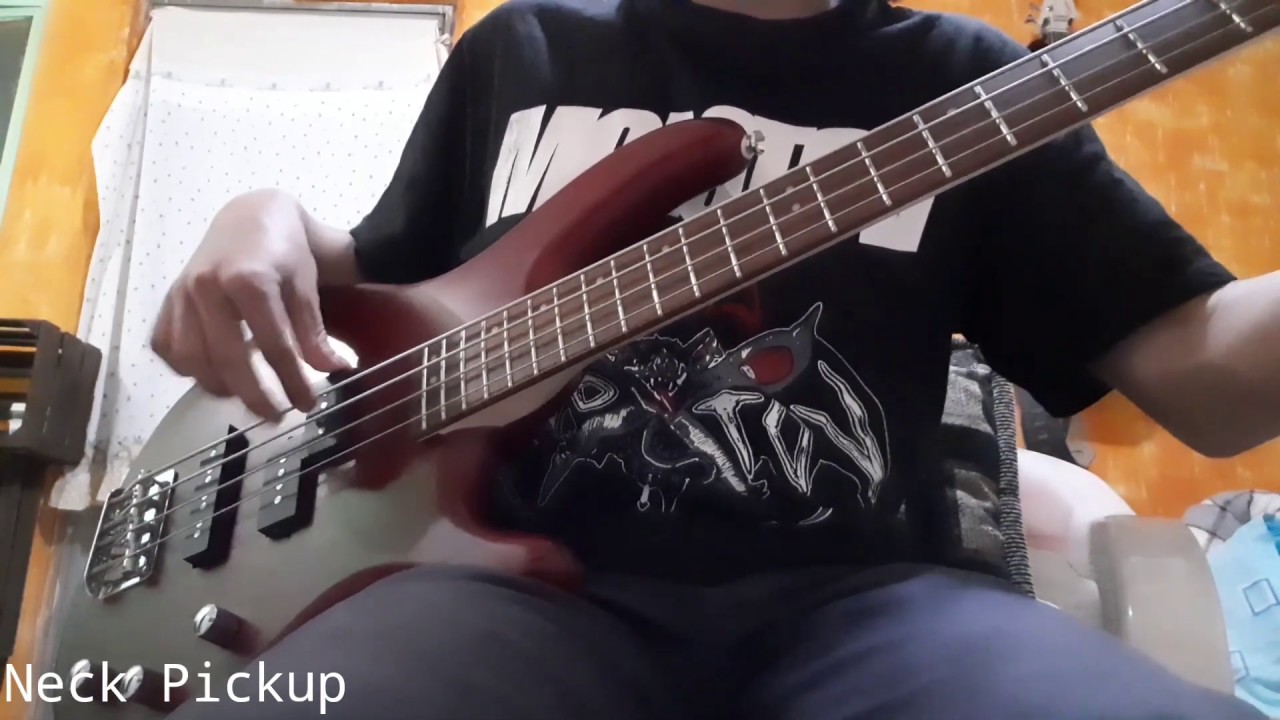 Cort Action PJ Bass Soundtest! YouTube