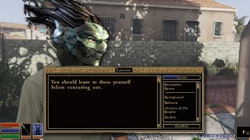 A Dark Elf Roasts Franklin (Morrowind)
