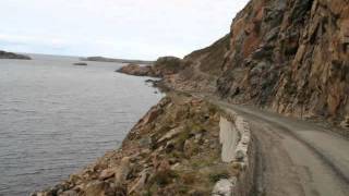 Virginia Jetzt dahin, wo`s weh tut (Lyrics)
