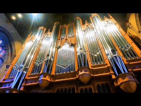 2004 Rieger Organ - Bryn Mawr Presbyterian Church- Bryn Mawr, Pennsylvania