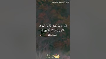 القارئ / أيمن محمد عبدالمنعم.... ما تيسر من سورة الحجر
