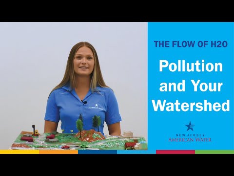 Video: Unde pot ajunge poluanții dintr-un bazin hidrografic?