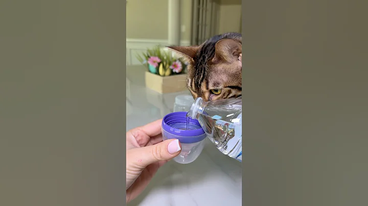 Things I wish I knew as a first time mom #firsttimemom #momhack #teethingbaby  #useful #toddlermom