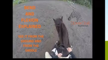 How to ride Circles , Bend and Flexion with Kirstin Kelly Equestrian