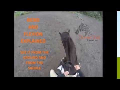 How to ride Circles , Bend and Flexion with Kirstin Kelly Equestrian
