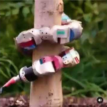 This robotic snake