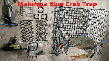 How To Make A Blue Crab trap! #crabtrap