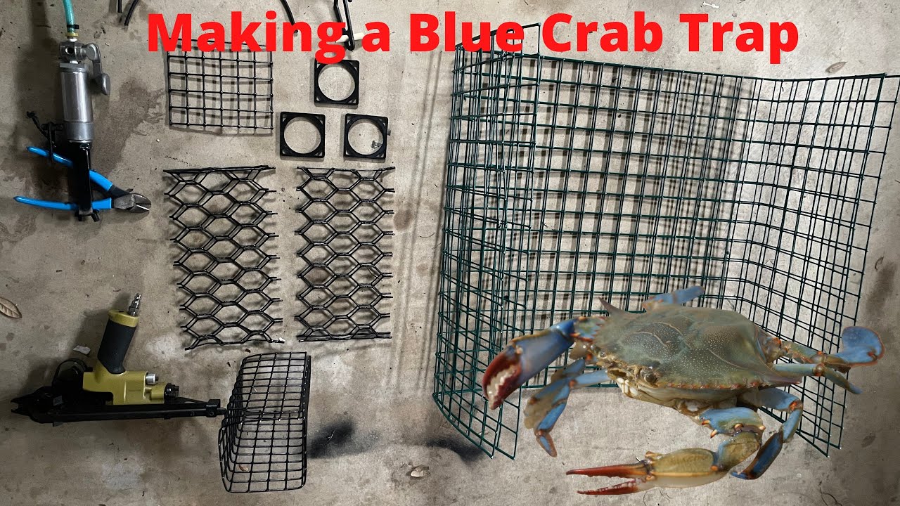 How To Make A Blue Crab trap! #crabtrap 