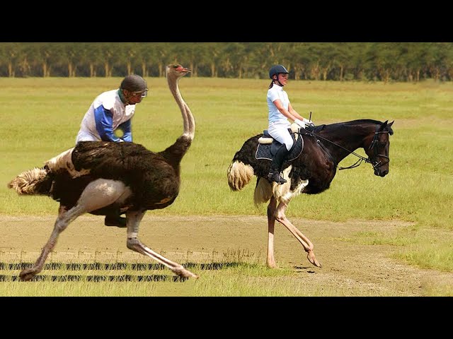 Top 10 Unusual Sports