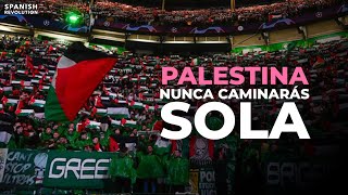 Palestina, nunca caminarás sola: los aficionados del Celtic muestran su apoyo a pesar de sanciones