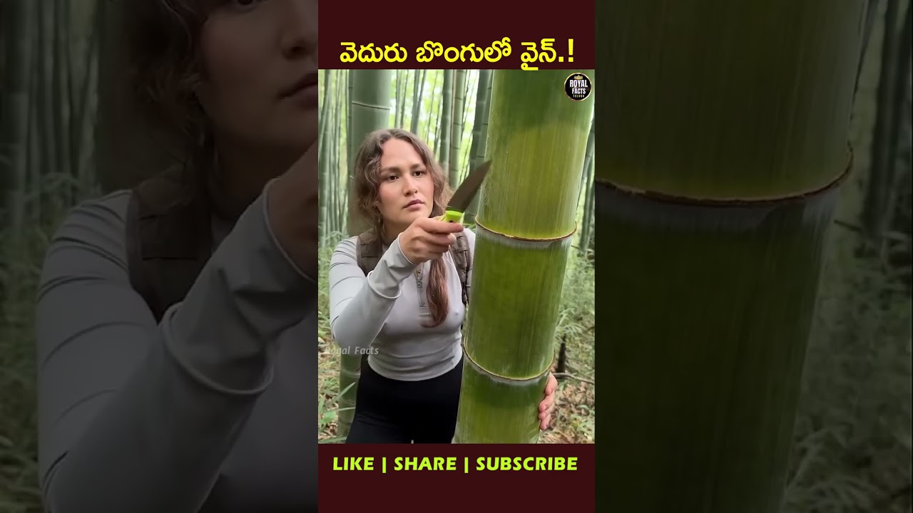 Bamboo Wine 🍃 – Nature’s Fermented Surprise!